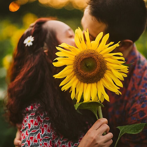 Niki Strbian sunflower mini sessions Helsinki