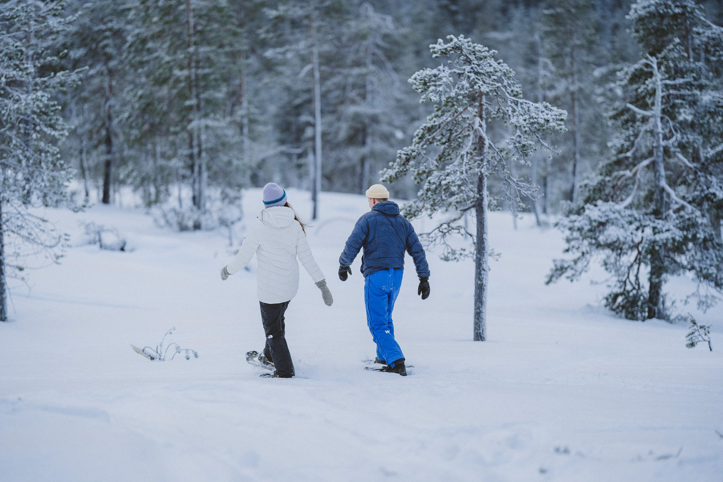 Lapland photographer Rovaniemi 11