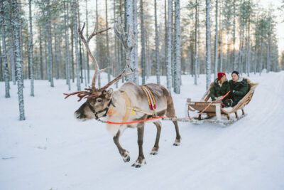 Lapland photographer Rovaniemi 38 1