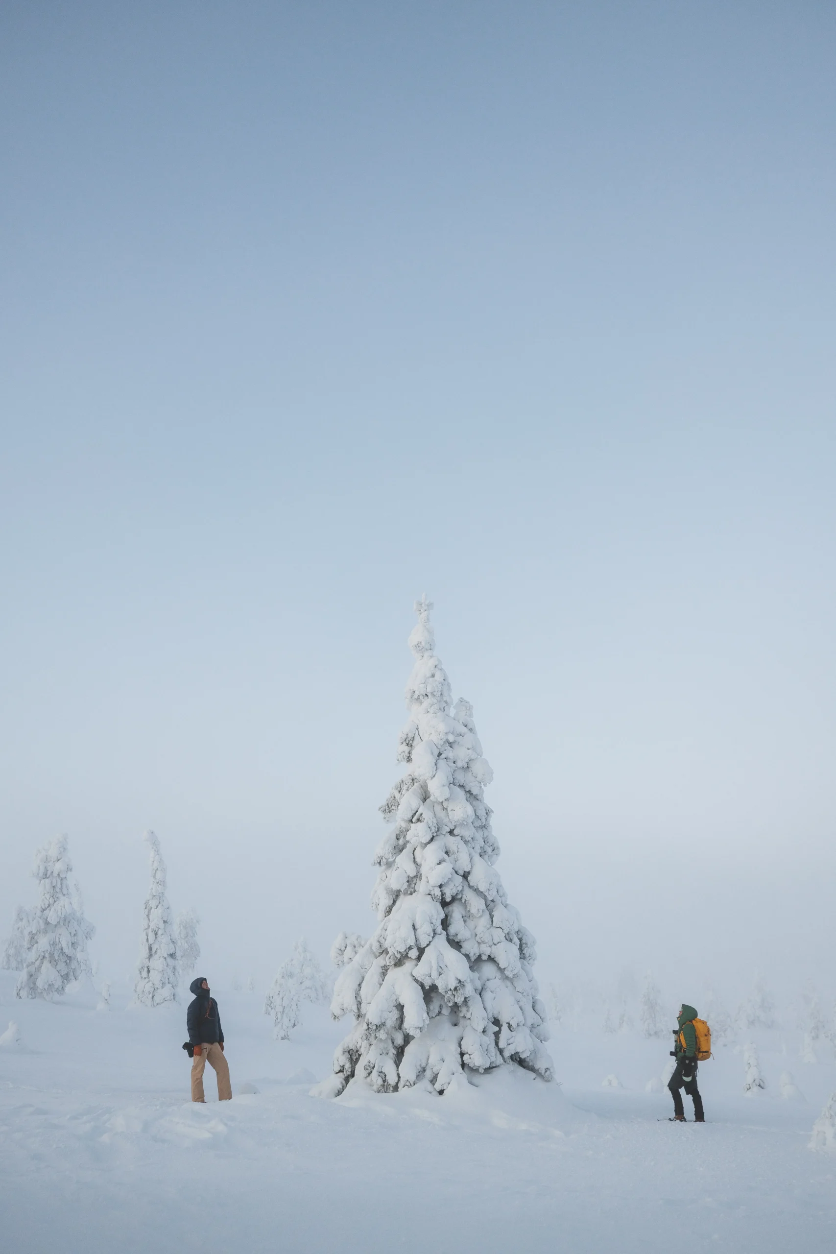 Kuusamo Riisitunturi 4 scaled