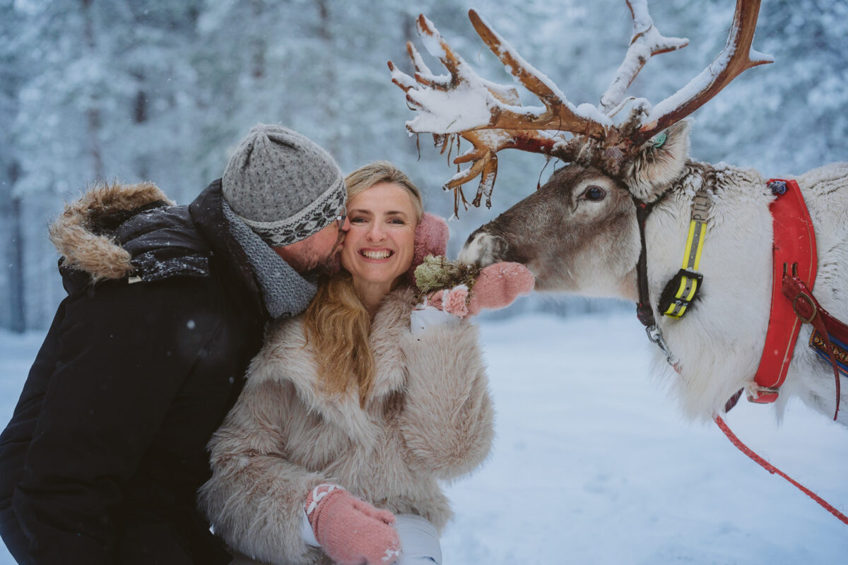 couple feeding a reindeer during kaamos in Rovaniemi Finland